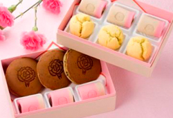 母の日和菓子膳セット