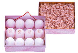 桜、さくら